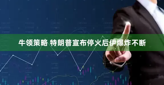 牛领策略 特朗普宣布停火后伊爆炸不断
