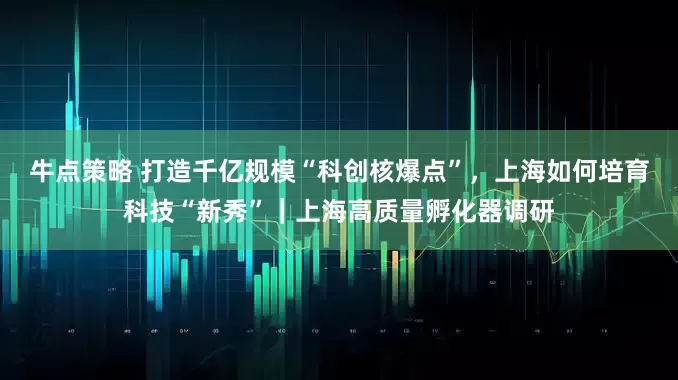 牛点策略 打造千亿规模“科创核爆点”，上海如何培育科技“新秀”｜上海高质量孵化器调研