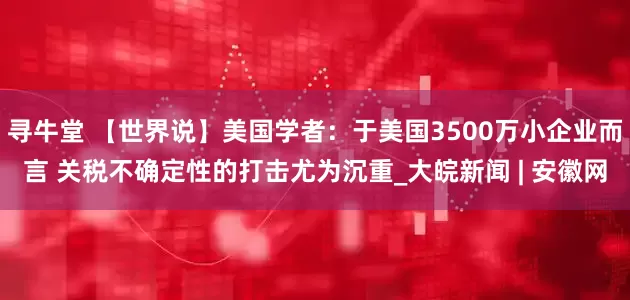 寻牛堂 【世界说】美国学者：于美国3500万小企业而言 关税不确定性的打击尤为沉重_大皖新闻 | 安徽网