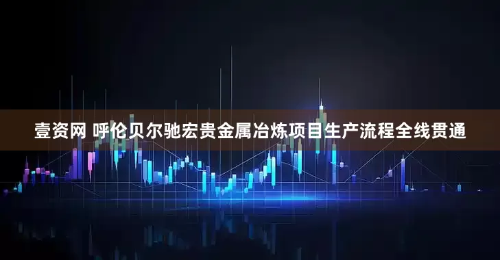 壹资网 呼伦贝尔驰宏贵金属冶炼项目生产流程全线贯通
