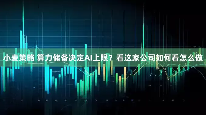小麦策略 算力储备决定AI上限？看这家公司如何看怎么做
