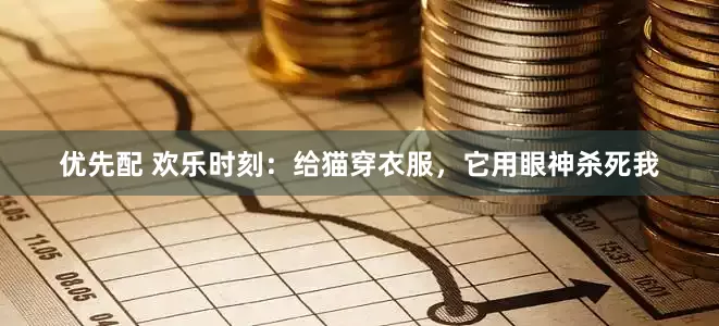 优先配 欢乐时刻:给猫穿衣服,它用眼神杀死我