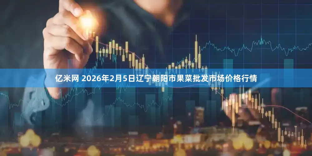 亿米网 2026年2月5日辽宁朝阳市果菜批发市场价格行情