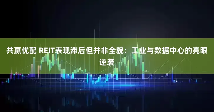 共赢优配 REIT表现滞后但并非全貌:工业与数据中心的亮眼逆袭